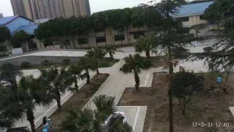鑫宏光驾校 