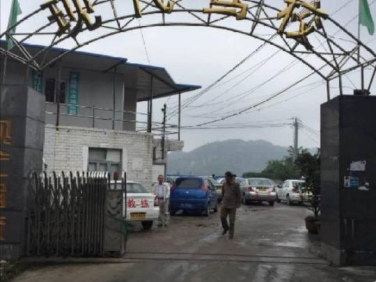 现代驾校都司路分校