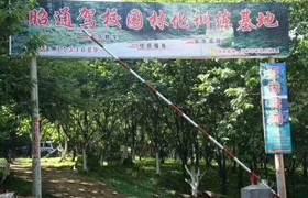 镇雄县正向驾校